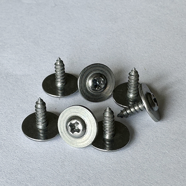 Pan Caput Cross cum extra gasket parva Cochleas