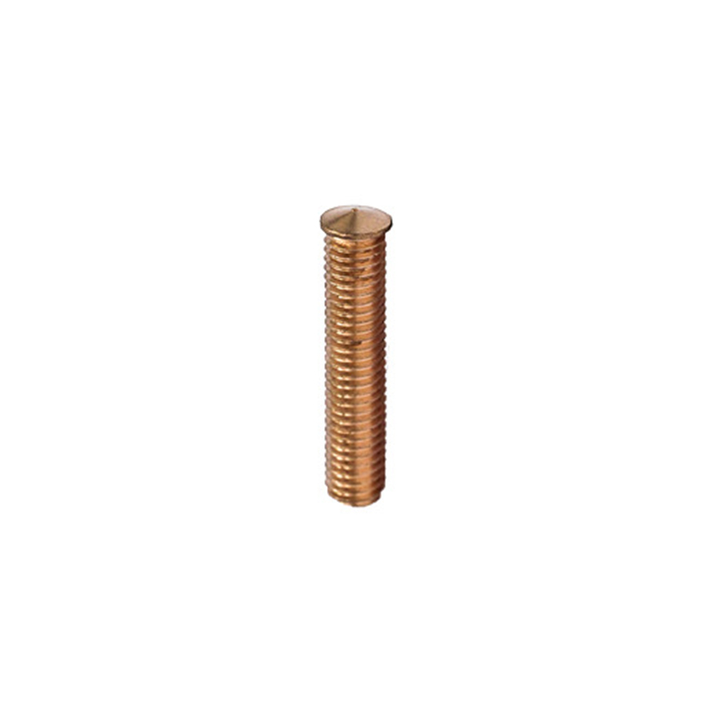 Macula weld bulla plena filum welding Cochleas